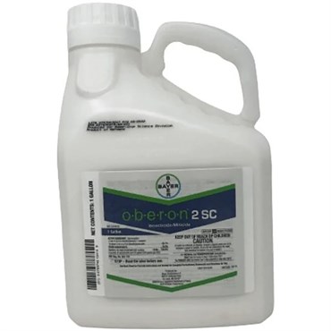 Bayer Oberon 2 SC 1gl ( Spiromesifen ) — Single Unit