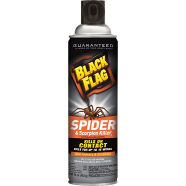 Black Flag 16oz Spider Scorpion Aerosol
