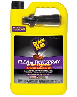 Black Flag 1gal Flea Tick & Bedbug Home Treatment RTU