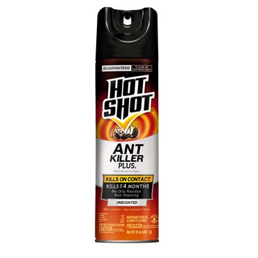 Hot Shot 16oz Ant Killer Aerosol
