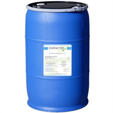 Verano 365 Evofactor 55Gl (F) (4/PL)