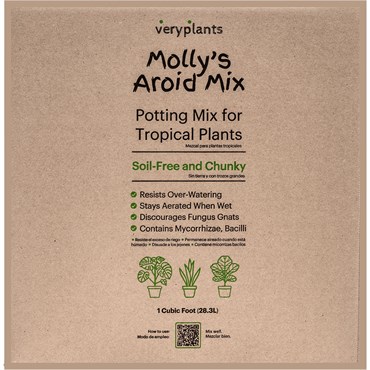 Molly's 1cf Aroid Mix