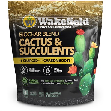 Wakefield 4qt Biochar Cactus Carbonboost 6/CS