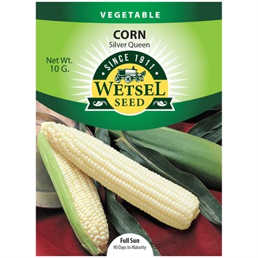 Corn, Silver Queen 10 Grams