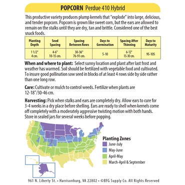Popcorn, Perdue 410 Hybrid 10 Grams - Image 2