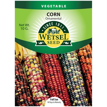 Corn, Ornamental 10 Grams