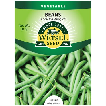 Beans, Burpee Stringless 10 Grams