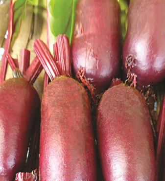 Beets, Cylindra 4.5 Grams - Image 3