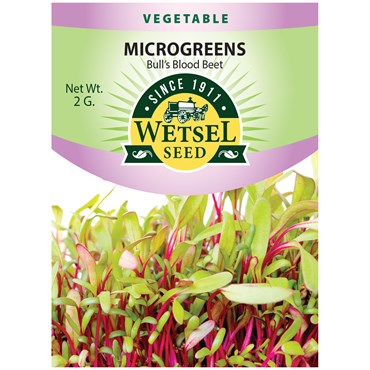 Microgreens, Bull's Blood Beet 2 Grams