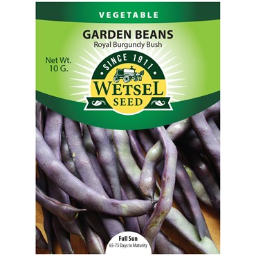 Beans, Royal Burgundy Bush 10 Grams