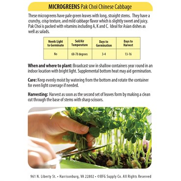 Microgreens, Pak Choi Chinese Cabbage 590mg - Image 2