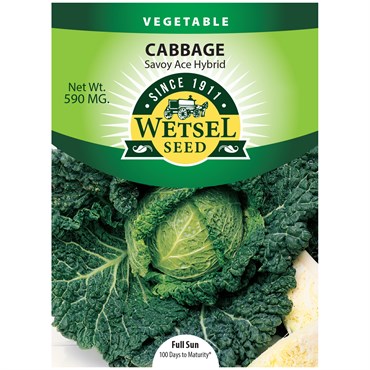 Cabbage, Savoy Ace Improved 590mg