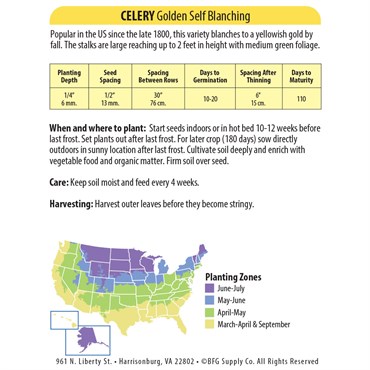 Celery, Golden Self Blanching 560mg - Image 2
