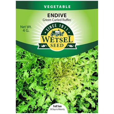 Endive, Green Curled Ruffic 4 Grams