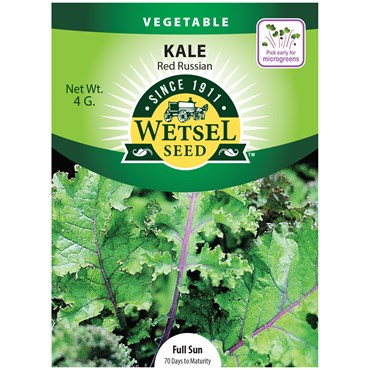 Kale, Red Russian Kale 4 Grams