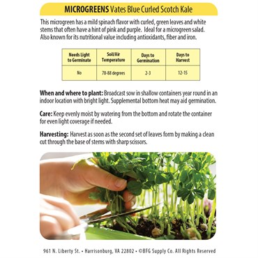 Microgreens, Vates Blue Curled Scotch Kale 4 Grams - Image 2