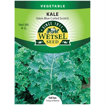 Kale, Vates Blue Curled Scotch 4 Grams