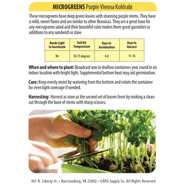 Microgreens, Kohlrabi Purple Vienna 3 Grams - Image 2
