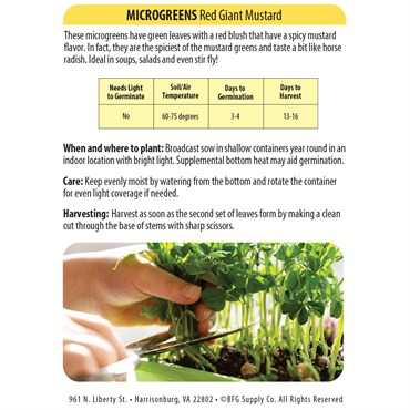 Microgreens, Red Giant Mustard 4 Grams - Image 2