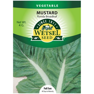 Mustard, Florida Broadleaf 4 Grams