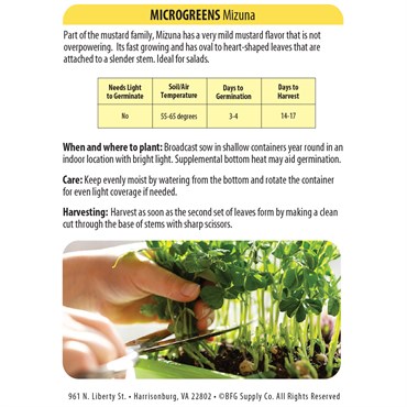 Microgreens, Mizuna 4 Gram - Image 2