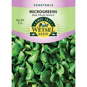 Microgreens, Baby Tribute Spinach 2 Grams