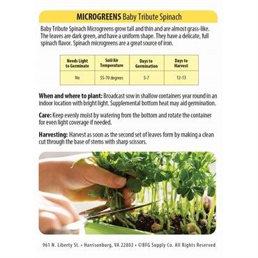 Microgreens, Baby Tribute Spinach 2 Grams - Image 2