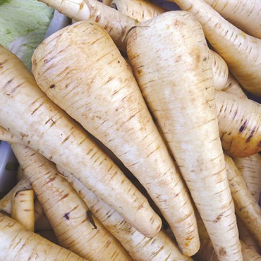 Parsnips, Harris Model 2 Grams - Image 3