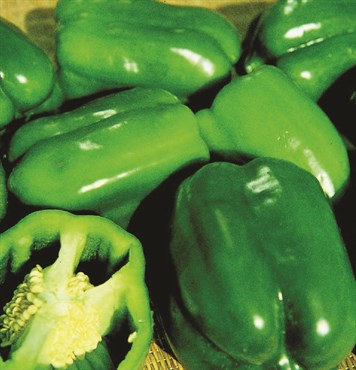 Peppers, Keystone Giant #3 900mg - Image 3