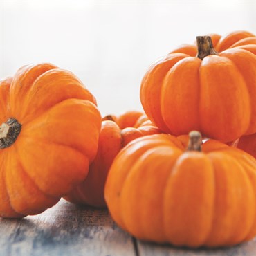 Pumpkin, Jack B Little 1 Gram - Image 3