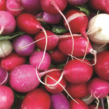 Radish, Easter Egg 3 Grams - Image 3