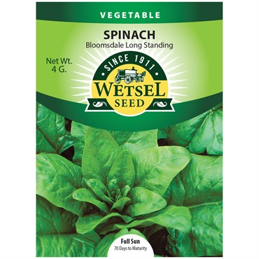 Spinach, Bloomsdale Long Standing 4 Grams