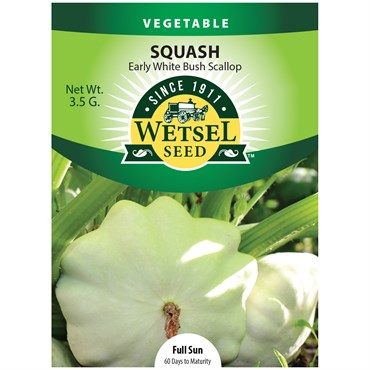 Squash, Early White Bush 3.5 Grams