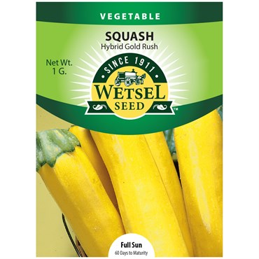 Squash, Gold Rush Hybrid 1 Gram