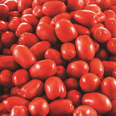 Tomato, Roma 140mg - Image 2