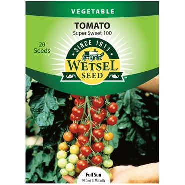 Tomato, Super Sweet 100 20 Seed Count