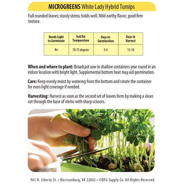 Microgreens, White Lady Turnip 500mg - Image 2