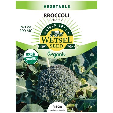 Broccoli, Organic Calabrese 590mg