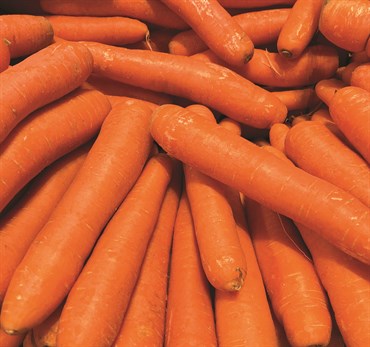 Carrots, Organic Little Finger 2 Grams - Image 3