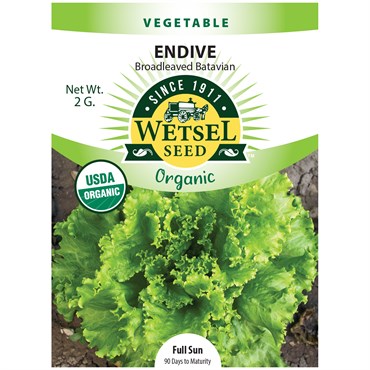 Endive, Organic Batavian 2 Grams