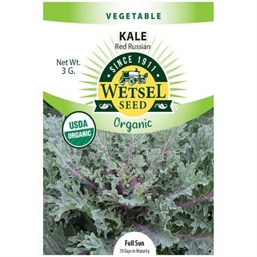 Kale, Organic Red Russian 3 Grams