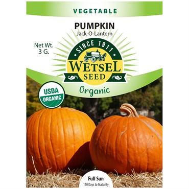 Pumpkin, Organic Jack O Lantern 3 Grams