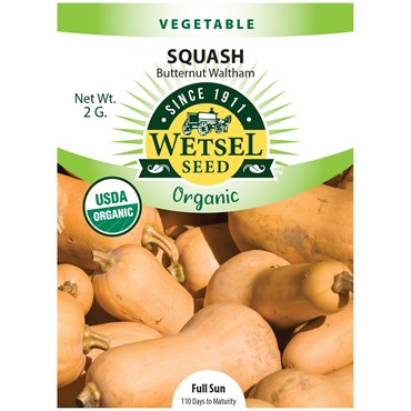Squash, Organic Butternut Waltham 2 Grams