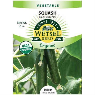 Squash, Organic Black Zucchini 2 Grams
