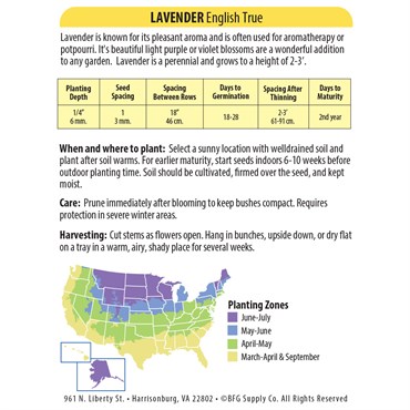 Lavender, English True 280mg - Image 2