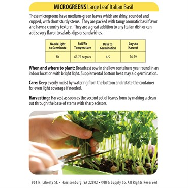Microgreens, Large Leaf Italian Basil 280mg - Image 2