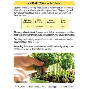 Microgreens, Coriander/ Cilantro 700mg - Image 2