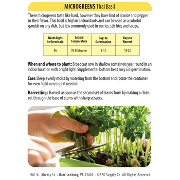 Microgreens, Thai Basil 800mg - Image 2