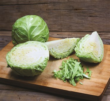 Cabbage, Heirloom Golden Acre 2 Grams - Image 3