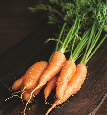 Carrot, Heirloom Little Finger 2 Grams - Image 3